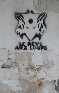 Cliquer pour agrandir l'image