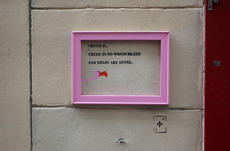 Cliquer pour agrandir l'image