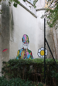 Cliquer pour agrandir l'image