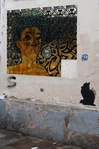 Cliquer pour agrandir l'image