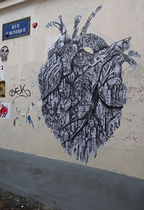 Cliquer pour agrandir l'image