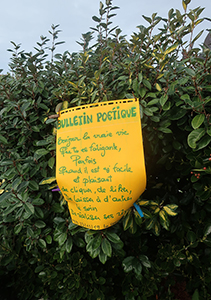 Cliquer pour agrandir l'image