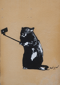 Cliquer pour agrandir l'image