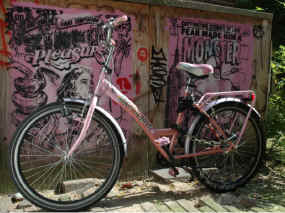 Cliquer pour agrandir l'image