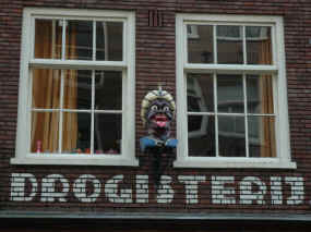 Cliquer pour agrandir l'image