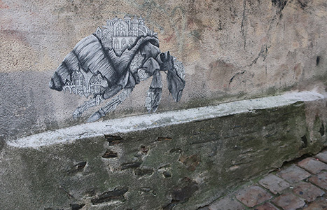 Cliquer pour agrandir l'image