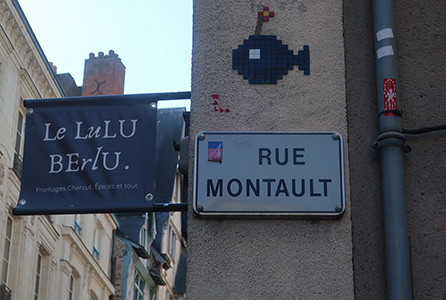 Cliquer pour agrandir l'image