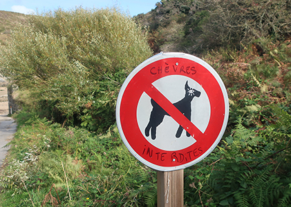 Cliquer pour agrandir l'image