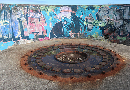 Cliquer pour agrandir l'image