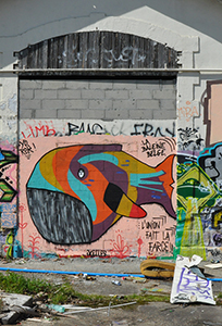 Cliquer pour agrandir