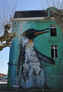 Cliquer pour agrandir