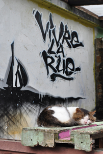 Cliquer pour agrandir