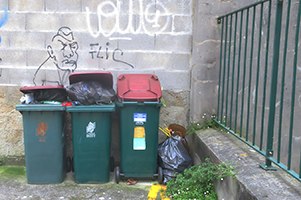 Cliquer pour agrandir