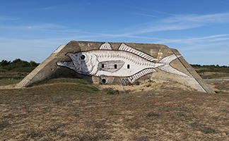 Cliquer pour agrandir