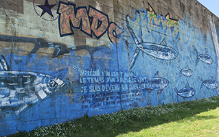 Cliquer pour agrandir