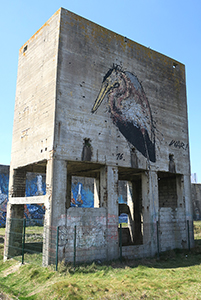 Cliquer pour agrandir