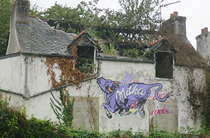 Cliquer pour agrandir