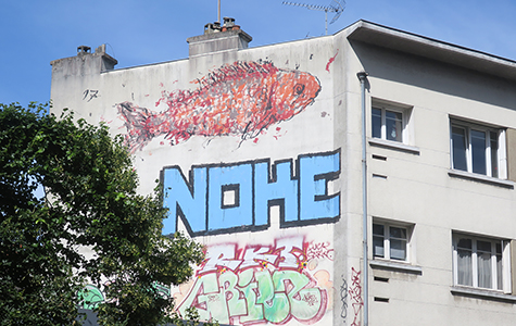 Cliquer pour agrandir l'image