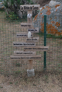 Cliquer pour agrandir l'image