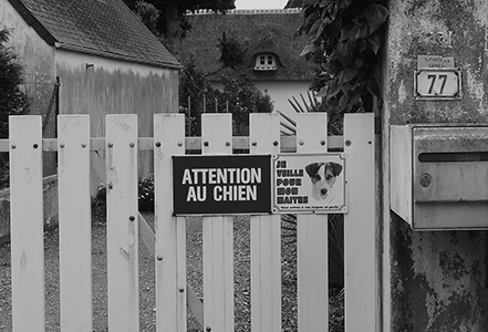 Cliquer pour agrandir l'image