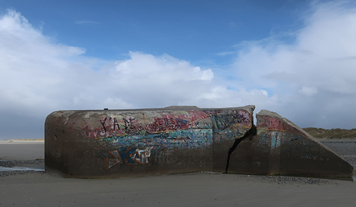 Cliquer pour agrandir l'image