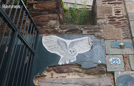 Cliquer pour agrandir l'image