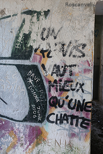 Cliquer pour agrandir l'image