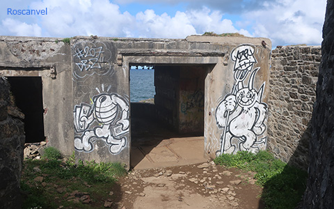 Cliquer pour agrandir l'image