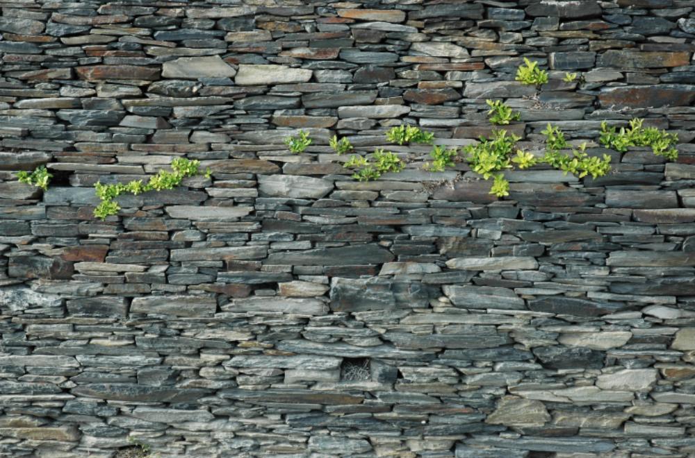 Cliquer pour agrandir l'image