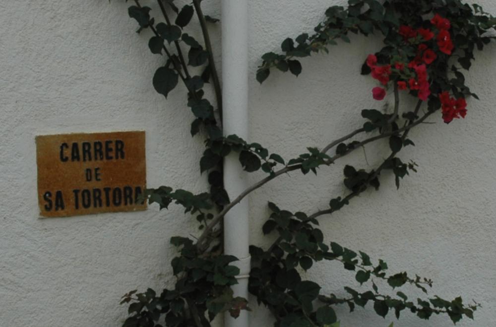 Cliquer pour agrandir l'image