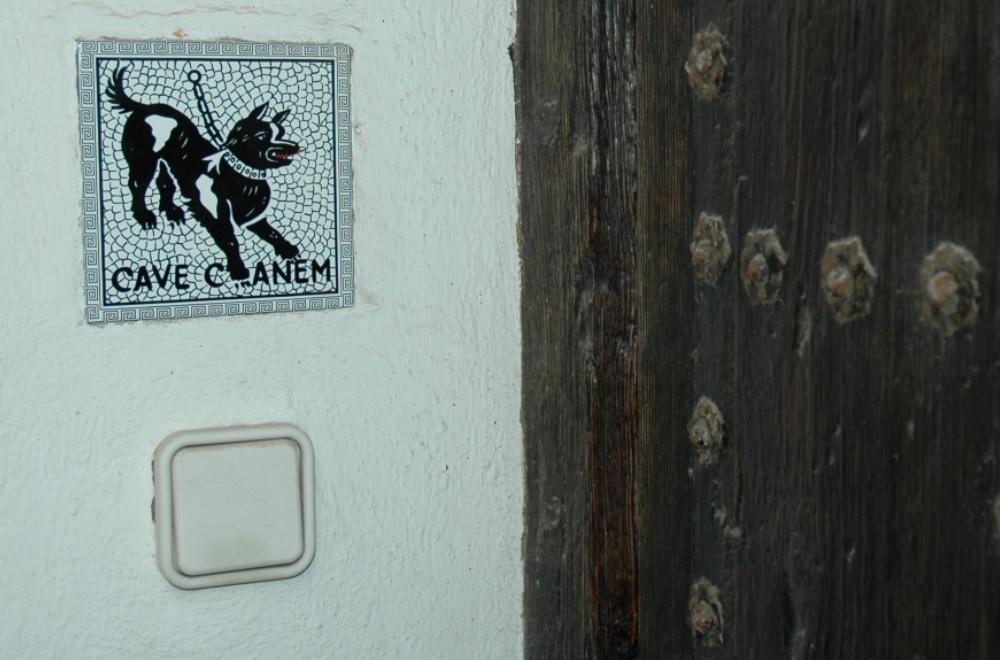 Cliquer pour agrandir l'image