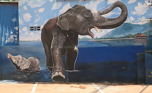 Cliquer pour agrandir l'image