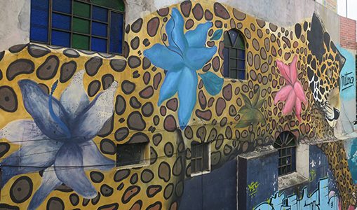 Cliquer pour agrandir l'image