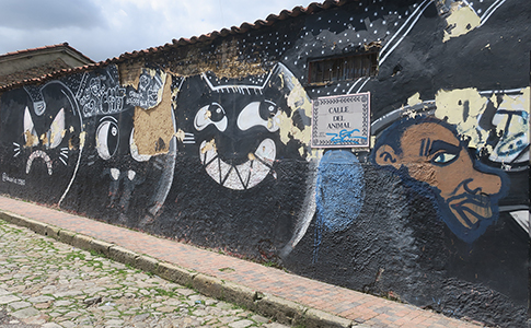 Cliquer pour agrandir l'image