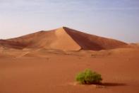 Cliquer pour voir l'image au format 900x600