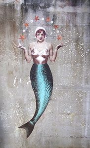 Cliquer pour agrandir l'image