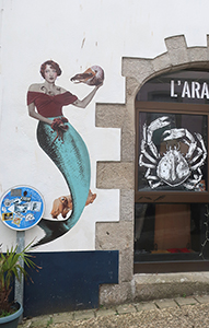 Cliquer pour agrandir l'image