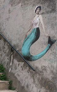 Cliquer pour agrandir l'image