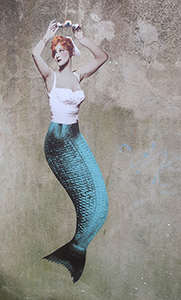 Cliquer pour agrandir l'image