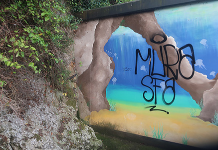 Cliquer pour agrandir l'image