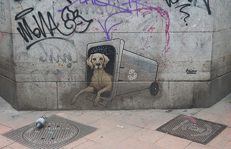 Cliquer pour agrandir l'image