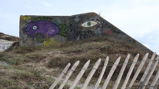 Cliquer pour agrandir l'image