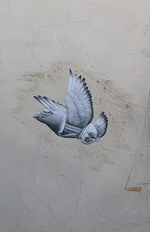 Cliquer pour agrandir l'image