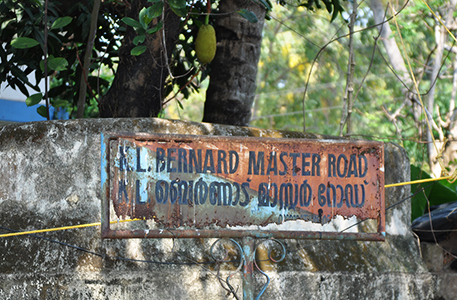 Cliquer pour agrandir l'image