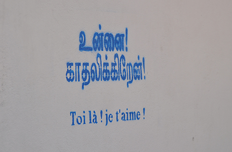 Cliquer pour agrandir l'image