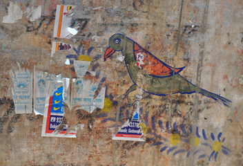 cliquer pour agrandir l'image