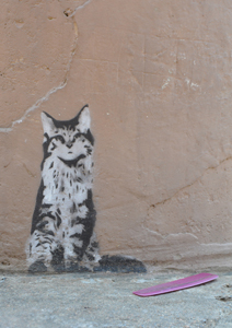 cliquer pour agrandir l'image