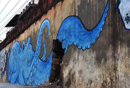 cliquer pour agrandir l'image