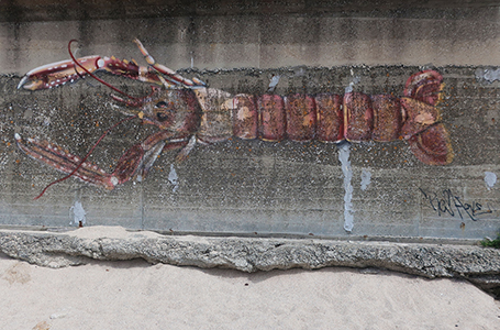 Cliquer pour agrandir l'image