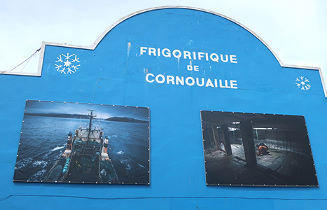 Cliquer pour agrandir l'image